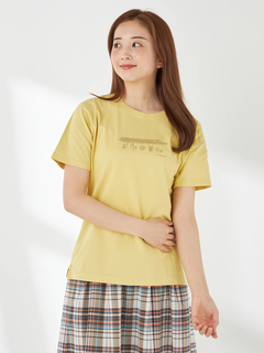 McGREGOR(マックレガー) |天竺プリントTシャツ