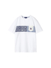McGREGOR(マックレガー)通販 | ベア切替えTシャツ