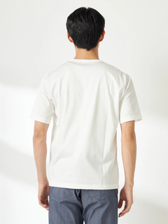McGREGOR(マックレガー) |新定番ＦＩＳＣＯ　Ｔ